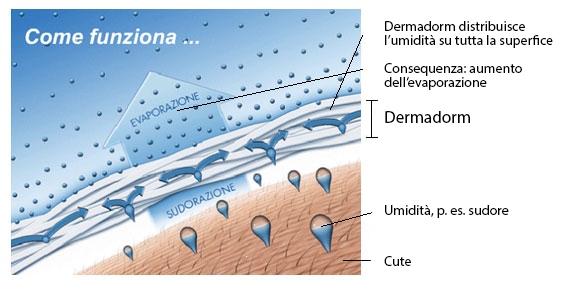 Régulateur dhumidité