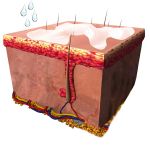 Mit einigen Tropfen Wasser wird aus dem Öl-Talg-Gemisch eine wasserlösliche Emulsion